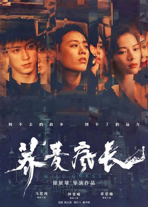 仿制专利证书